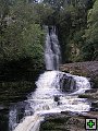 thn_The Catlins Coast 034.jpg